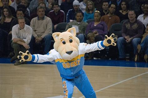The Importance of Mascots in the NBA: The Denver Nuggets' Approach